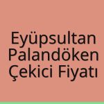 Eyüpsultan – Palandöken Çekici Fiyatı