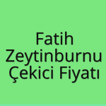 Fatih – Zeytinburnu Çekici Fiyatı