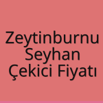 Zeytinburnu – Seyhan Çekici Fiyatı