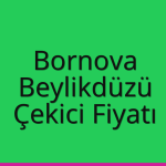 Bornova – Beylikdüzü Çekici Fiyatı