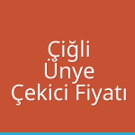Çiğli – Ünye Çekici Fiyatı