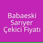 Babaeski – Sarıyer Çekici Fiyatı