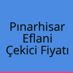 Pınarhisar – Eflani Çekici Fiyatı