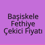 Başiskele – Fethiye Çekici Fiyatı