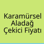 Karamürsel – Aladağ Çekici Fiyatı