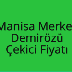 Manisa Merkez – Demirözü Çekici Fiyatı