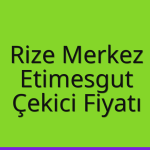 Rize Merkez – Etimesgut Çekici Fiyatı
