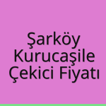 Şarköy – Kurucaşile Çekici Fiyatı