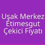 Uşak Merkez – Etimesgut Çekici Fiyatı