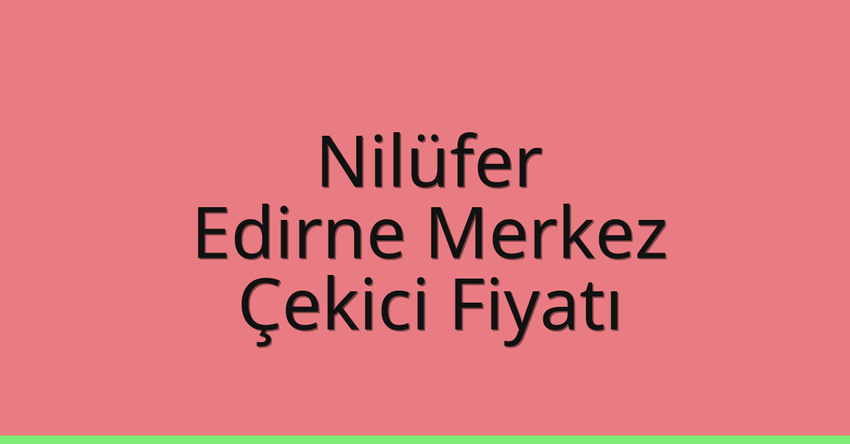 Nilüfer – Edirne Merkez Çekici Fiyatı