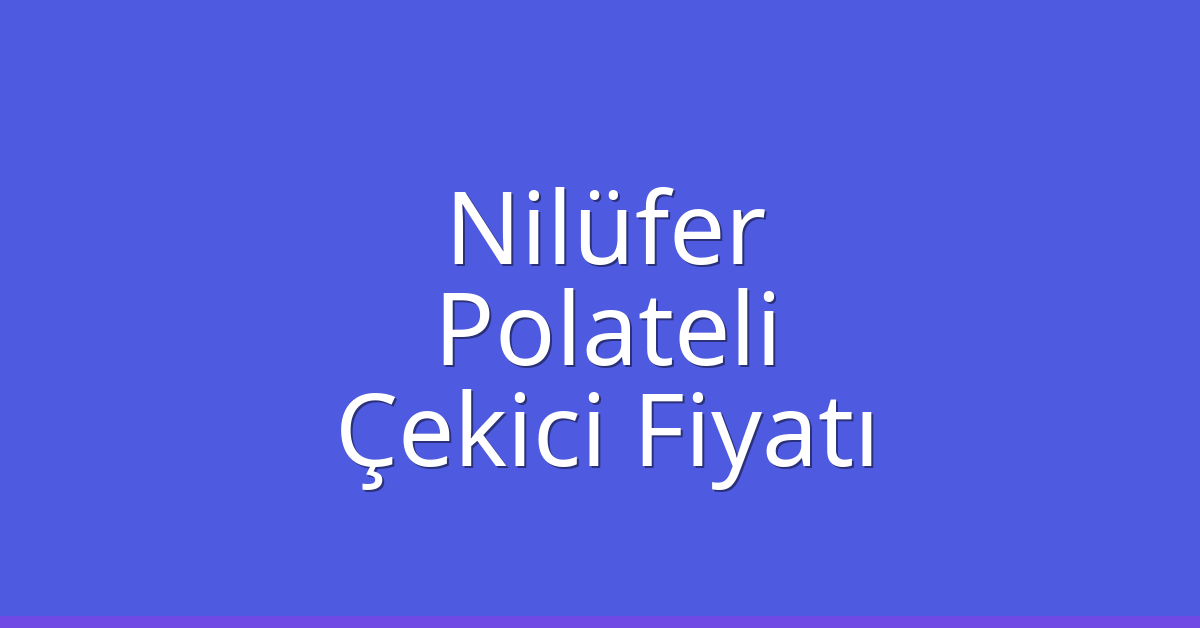 Nilüfer – Polateli Çekici Fiyatı
