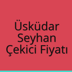 Üsküdar – Seyhan Çekici Fiyatı