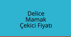 Delice – Mamak Çekici Fiyatı