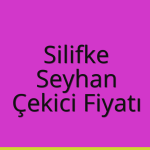 Silifke – Seyhan Çekici Fiyatı