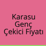 Karasu – Genç Çekici Fiyatı
