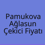 Pamukova – Ağlasun Çekici Fiyatı