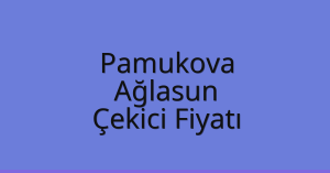 Pamukova – Ağlasun Çekici Fiyatı