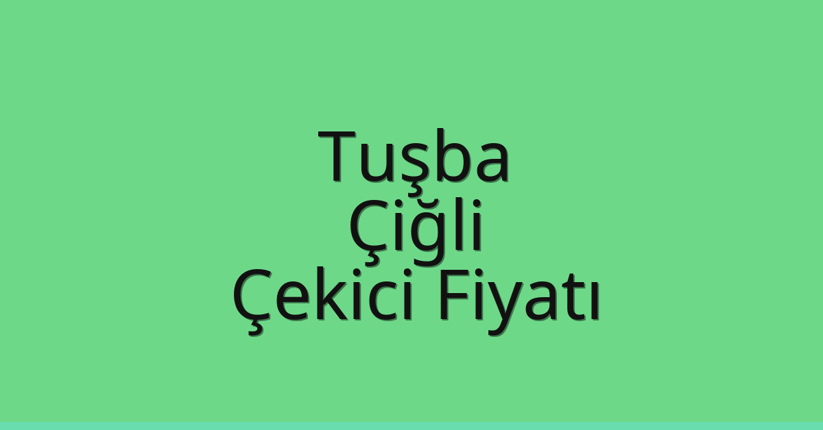 Tuşba – Çiğli Çekici Fiyatı